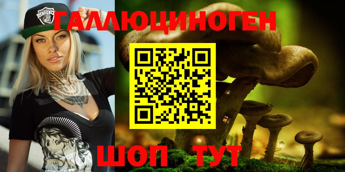 Медногорск  Галлюциногенные грибы ЛСД  как найти закладки  Галлюциногенные грибы Psilocybe  Вход с VPN 